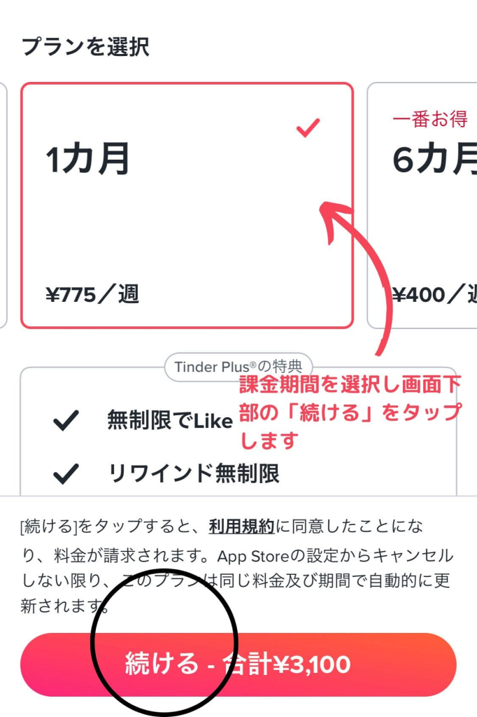 Tinder 料金